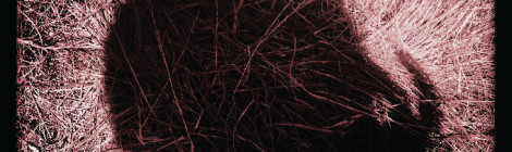 The Starfolk debut LP out Aug 20 2013