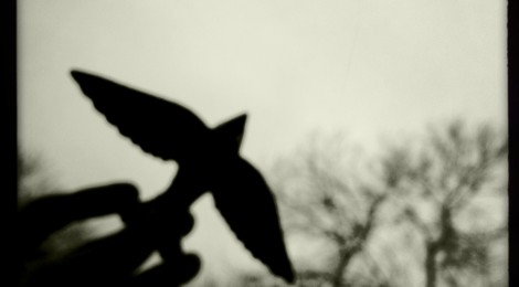 Video Premiere, "The Great Unknown"
