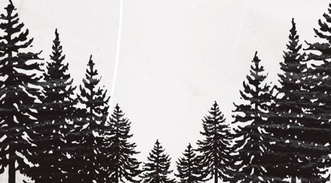 CAMP DARK RELEASE SHOW